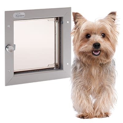 Pijler impuls Kameraad Honden/kattenluiken voor deur/muur | Hoge kwaliteit | PlexiDor